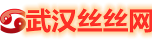 武汉丝丝网手机版